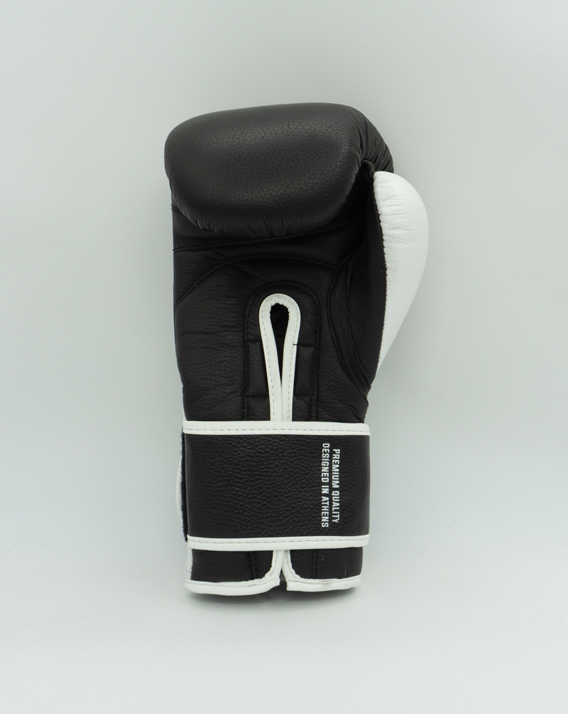 Chosen Premium SHIELD Boxing Gloves-black